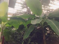 -龙达温泉生态城