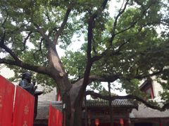 -关中书院