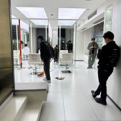 点击看大图 -金棕榈