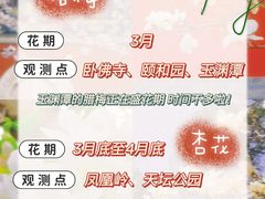 -沉浸北京·团建旅行·密室剧本杀·年会会议轰趴拓展