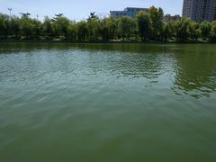 -诸城市恐龙博物馆