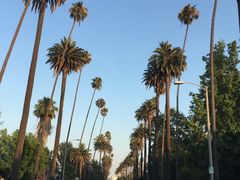-比弗利花园