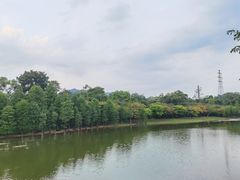 -华南国家植物园-售票处