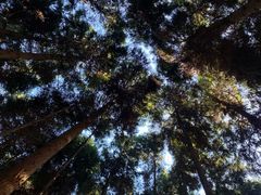 -山王坪喀斯特国家生态公园