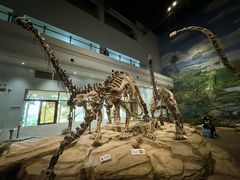 -自贡恐龙博物馆