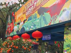 -广州长隆飞鸟乐园