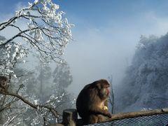 -峨眉山风景名胜区