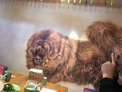 -后院犇牛主题餐厅(云岗店)