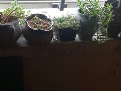 -何顺华吉他沙龙