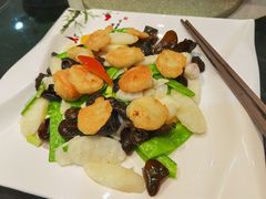淮山木耳炒元贝-冬宝海鲜食府(桂城店)