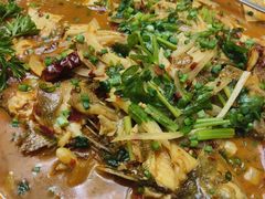 -瑞琳阿尔泰冷水鱼(康源财富中心店)