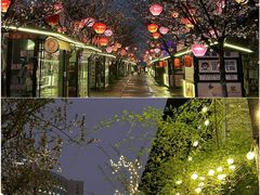 -云龙湖旅游景区