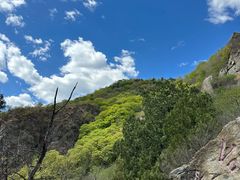 -北京鹫峰国家森林公园