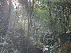 -峨眉山风景名胜区