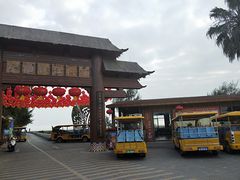 -北海金海湾红树林生态旅游区