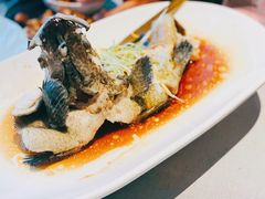 清蒸石斑鱼-徐记海鲜(南油永新汇店)