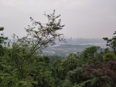 -岳麓山风景名胜区