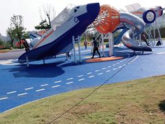 -九龙湖公园