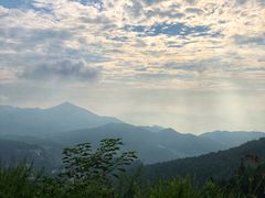 -武陵山森林公园
