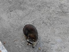 -祥源·阜阳生态乐园