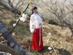 -广州市流溪河国家森林公园