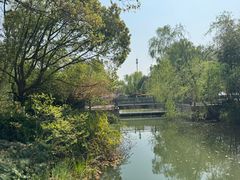 -昆山城市生态森林公园