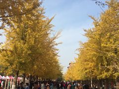 -辽宁大学(崇山校区)