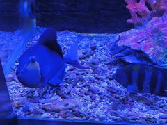 -秦皇岛新澳海底世界