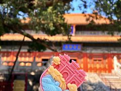 -北京国子监胡同