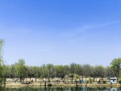 -稻香湖公园