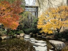 -上海崇明金茂凯悦酒店