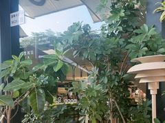 -gaga(深圳南山益田假日广场店)