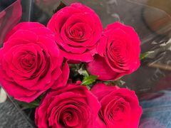 -循礼门鲜花花市(武汉循礼门店)