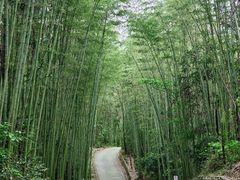 -四川省成都市彭州市白鹿镇