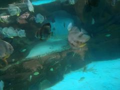 -波塞冬旅游度假区