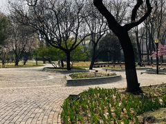 -玲珑塔公园