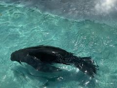 -南京金牛湖风景区