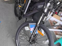 -道路口单车爱瓦士dahon大行