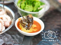 -铭聚章鱼土笋冻(松柏店)