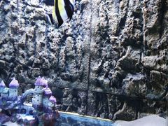 -北戴河圣蓝海洋公园