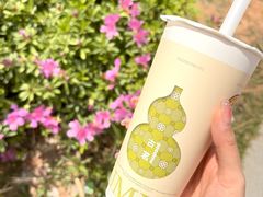 -古茗(泉州中骏世界城店)
