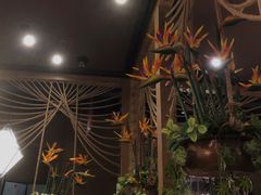 -云海肴·云南小炒·汽锅鸡(天津国金汇店)