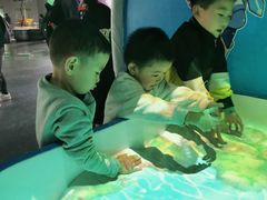 -陕西自然博物馆