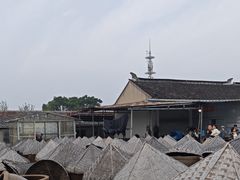 -苏州市吴中区光福窑上花果蜜饯厂