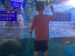 -烟台海昌鲸鲨海洋公园