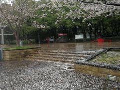 -玉山公园