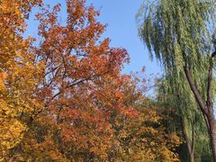 -森林公园(尖草坪区)