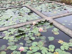 -华南国家植物园-售票处