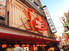 -蟹道乐(道顿堀本店)