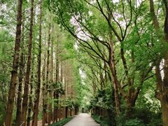 -同里国家湿地公园